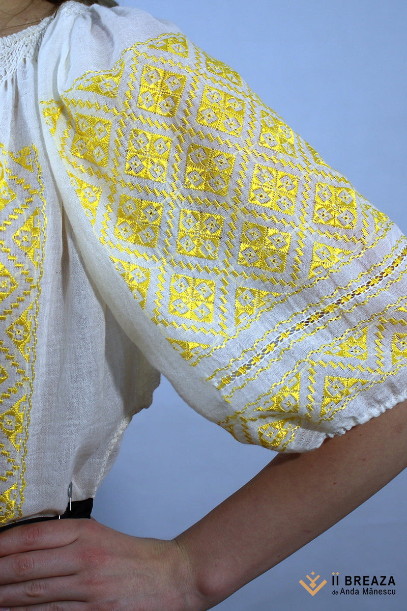 IA Tradițională de Breaza, model Steaua Boantă IA Tradițională de Breaza, model Steaua Boantă